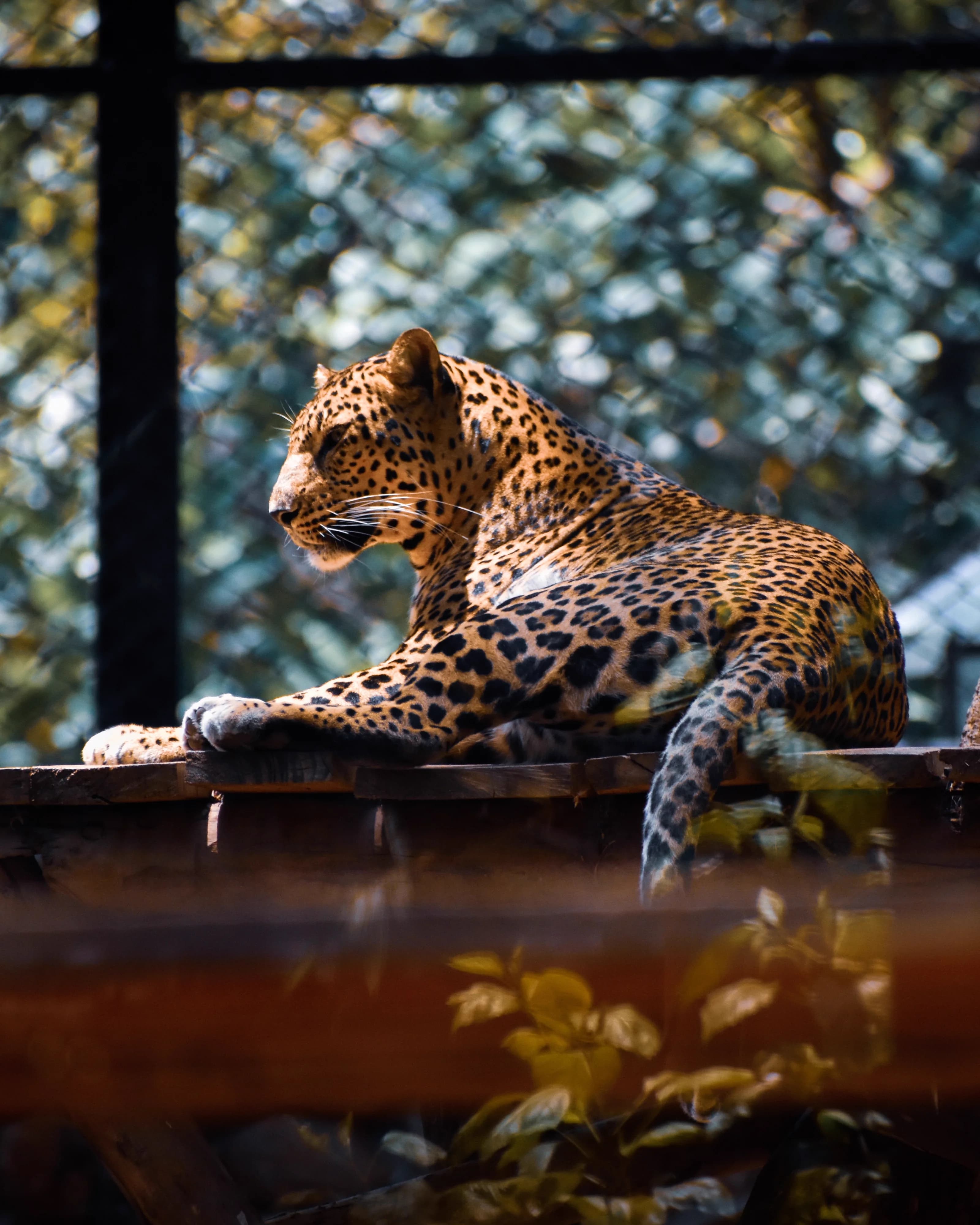 Featured photograph